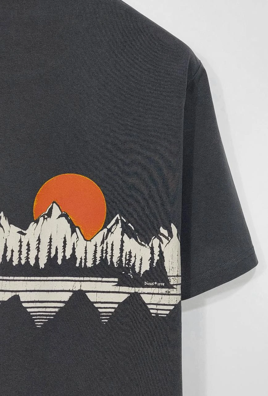 Camiseta Diesel con estampado dividido - gris / negro L – photo 12